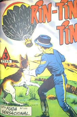 Rin-tin-tin / Davy y su fiel Roy #166