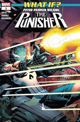 What if? Peter Parker Became The Punisher