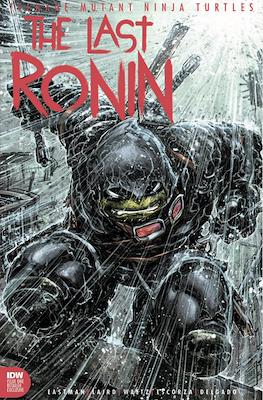 Teenage Mutant Ninja Turtles: The Last Ronin (Variant Cover) (Comic Book) #1.09