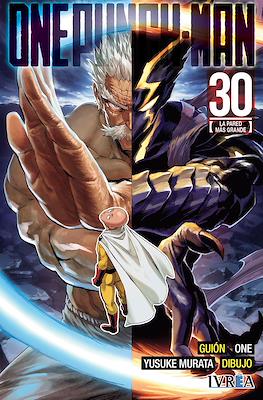 One Punch-Man #30