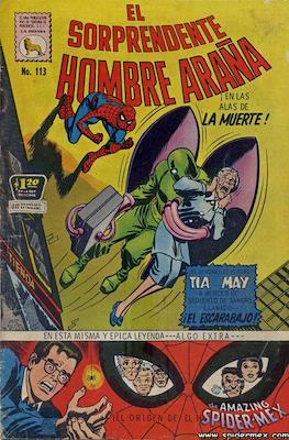 El Sorprendente Hombre Araña #113