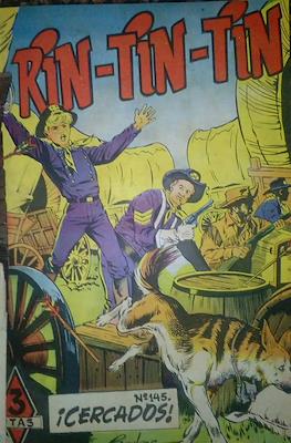 Rin-tin-tin / Davy y su fiel Roy #145