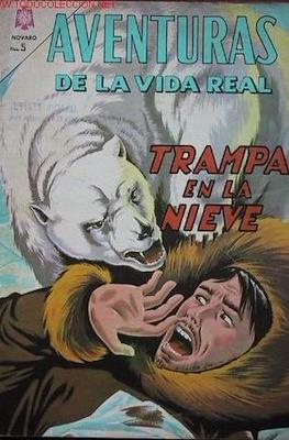 Aventuras de la vida real #104