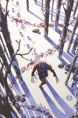 Wolverine Vol. 8 (2024-Variant Cover) #13.2