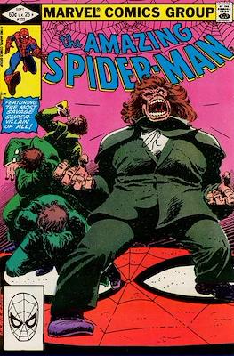 The Amazing Spider-Man Vol. 1 (1963-1998) (Comic-book) #232