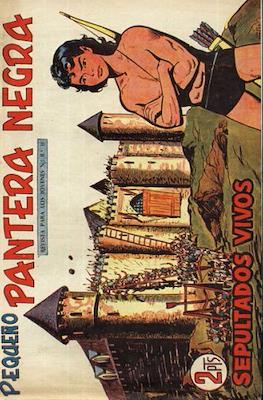 Pantera Negra / Pequeño Pantera Negra #228