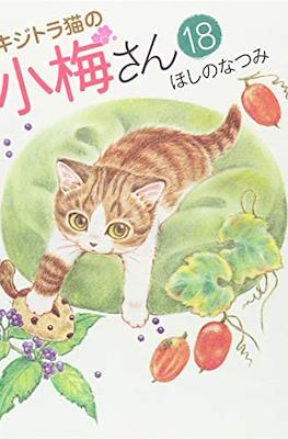 キジトラ猫の小梅さん 虎斑猫小梅 (Kijitora Neko no Koume-san) #18
