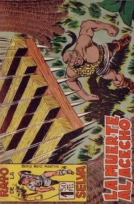 Rayo de la selva #34