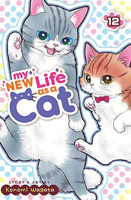 My New Life as a Cat #12