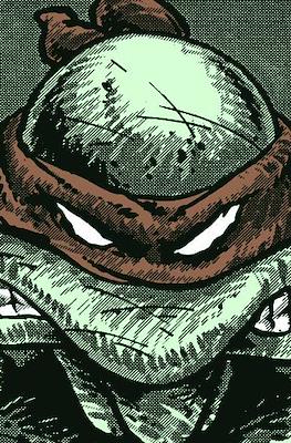 Teenage Mutant Ninja Turtles - Collected Book