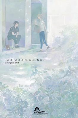 Labradorescence