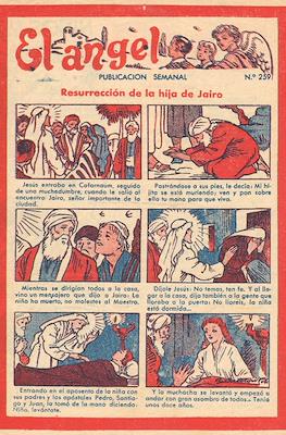 El Ángel #259