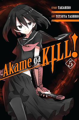 Akame ga Kill! #5