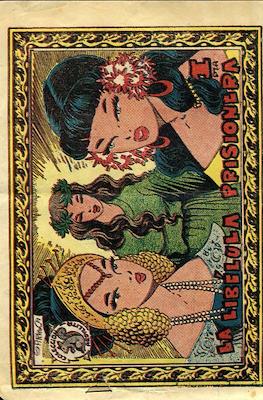 Colección Ardillita #125