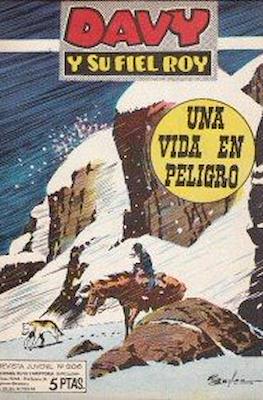 Rin-tin-tin / Davy y su fiel Roy #306