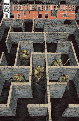 Teenage Mutant Ninja Turtles (2011-...Variant Covers) #141.1