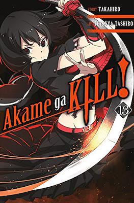 Akame ga Kill! #13