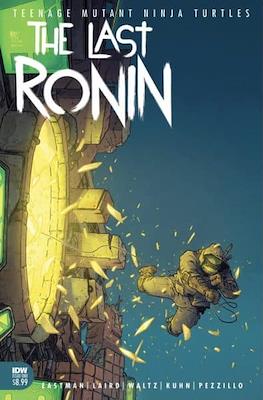Teenage Mutant Ninja Turtles: The Last Ronin (Variant Cover) (Comic Book) #1.12