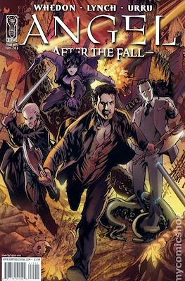 Angel After the Fall (2007-2009 Variant Cover) #15