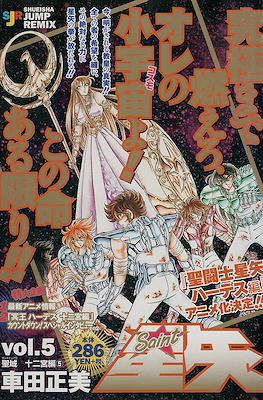 聖闘士星矢 (Saint Seiya Shueisha Remix) (Edición 2002-2004) #5