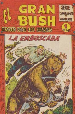 El gran Bush #24