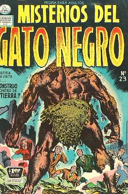 Misterios del gato negro #23