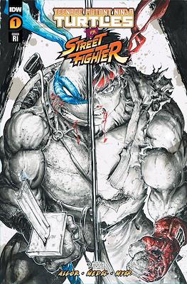 Teenage Mutant Ninja Turtles vs Street Fighter (Variant Covers) #1.04
