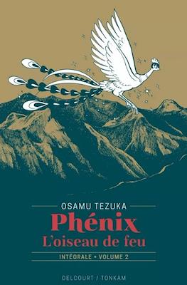 Phénix - L'oiseau de feu #2