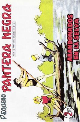 Pantera Negra / Pequeño Pantera Negra #312
