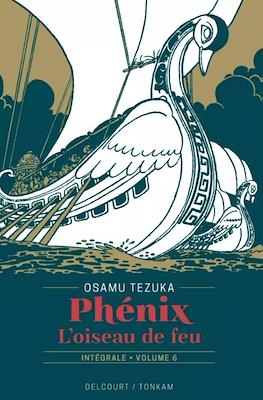 Phénix - L'oiseau de feu #6