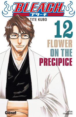 Bleach #12