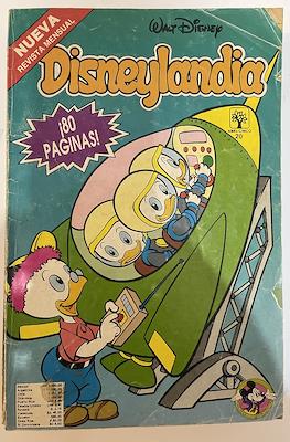 Disneylandia (Rústica) #20