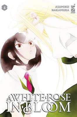 A White Rose in Bloom (Brossurato) #4