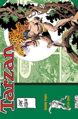 Tarzan. Sunday pages 1979-1981 Archie Goodwin y Gil Kane (Cartoné 112 pp)