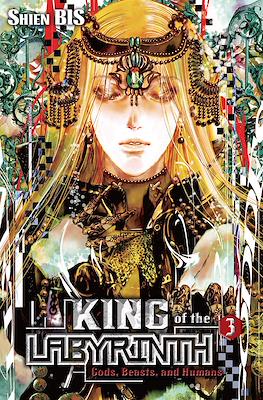 King of the Labyrinth #3