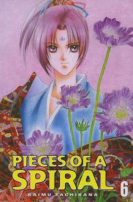 Pieces of a Spiral #6