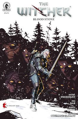 The Witcher Blood Stone #2