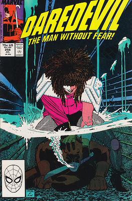 Daredevil Vol. 1 (1964-1998) (Comic Book) #256
