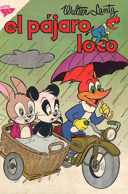 El pájaro loco #246