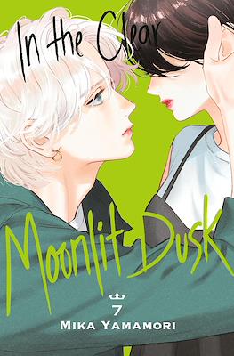 In the Clear Moonlit Dusk #7