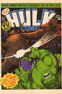Hulk Comic / The Incredible Hulk Weekly (1979-1980) #23
