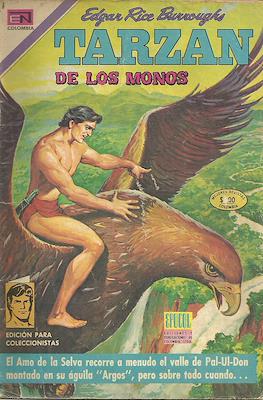 Tarzán de los monos (Grapa) #12