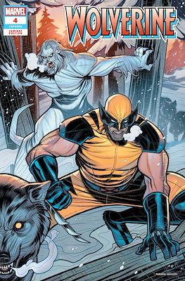 Wolverine Vol. 8 (2024-Variant Cover) #4.3