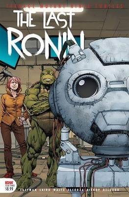 Teenage Mutant Ninja Turtles: The Last Ronin (Variant Cover) (Comic Book) #3.6