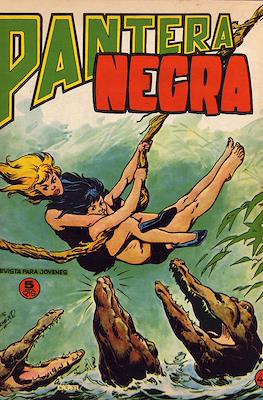 Pantera Negra #43