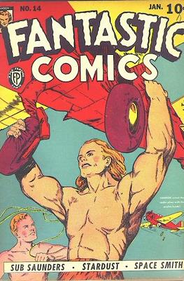 Fantastic Comics #14