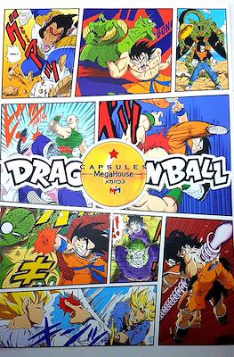 Dragon Ball Fanbooks #1