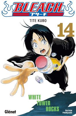 Bleach #14
