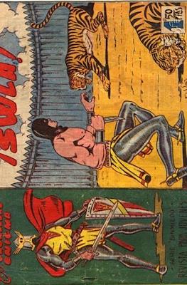 El caballero Enigma #8