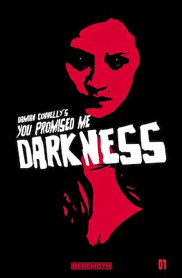 You Promised Me Darkness (Variant Cover)